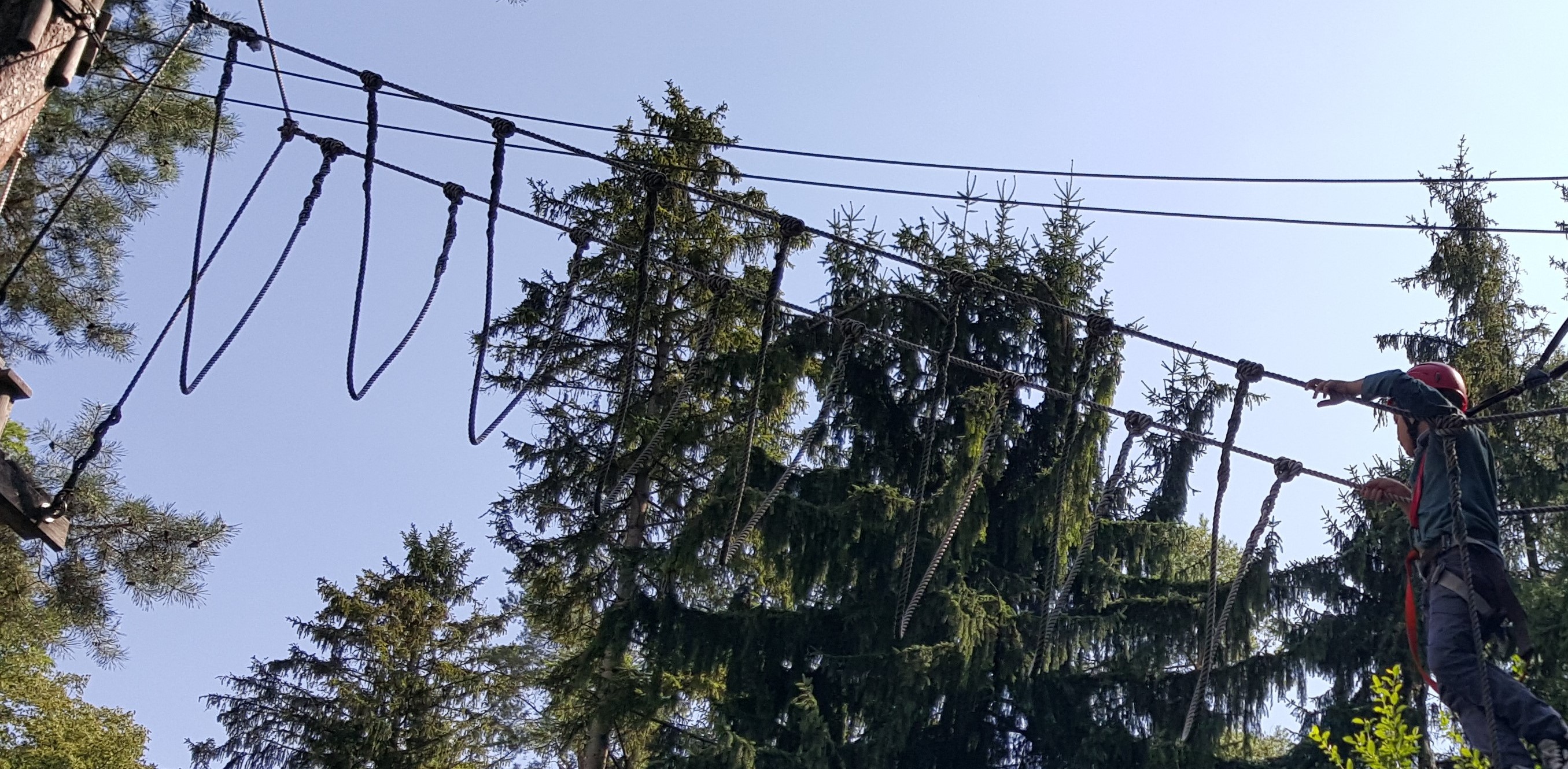 Bei Guide and Lead finden Sie die perfekt geschnürten Dienstleistungspakete in der Beratung für Bildungsmanagement.