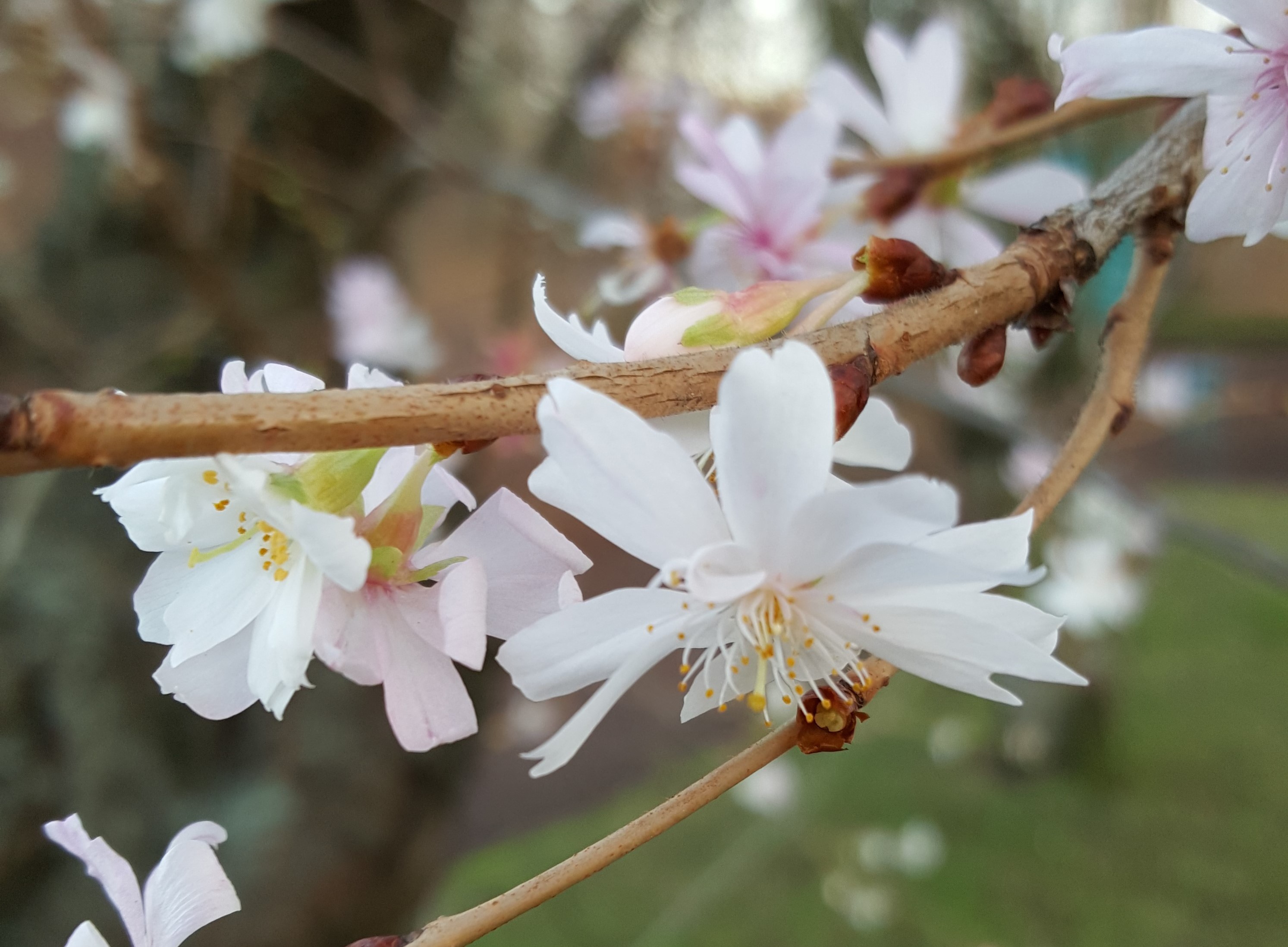 At Guide and lead we speak self- leadership that enables to guide others, be it as parents, teachers, administrators, managers, be it as adults or still growing. We want to change the world, and we start with ourselves. Family counseling allows us to start with the central cell of our society. Here is where self- leadership is needed, here is where the most important guidance of others is done.