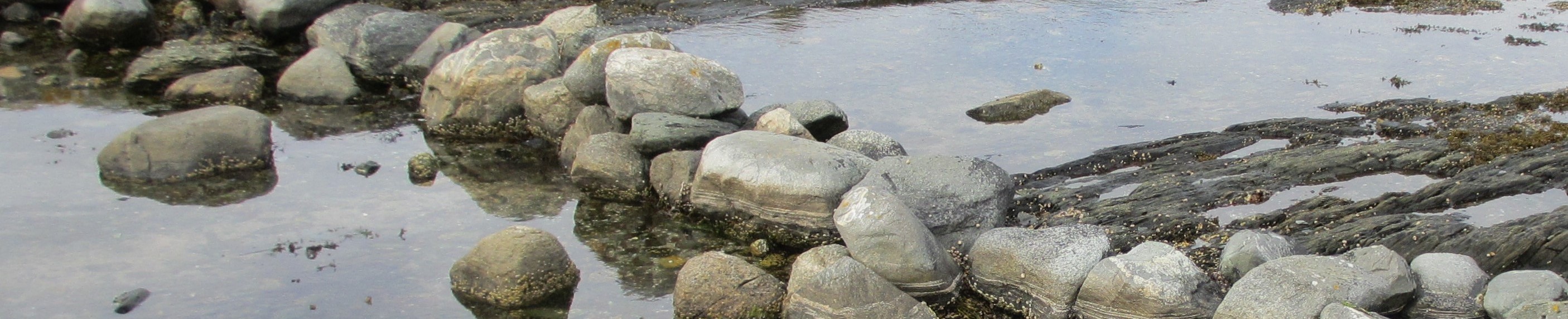 At Guide and lead we speak self- leadership that enables to guide others, be it as parents, teachers, administrators, managers, be it as adults or still growing. We want to change the world, and we start with ourselves.