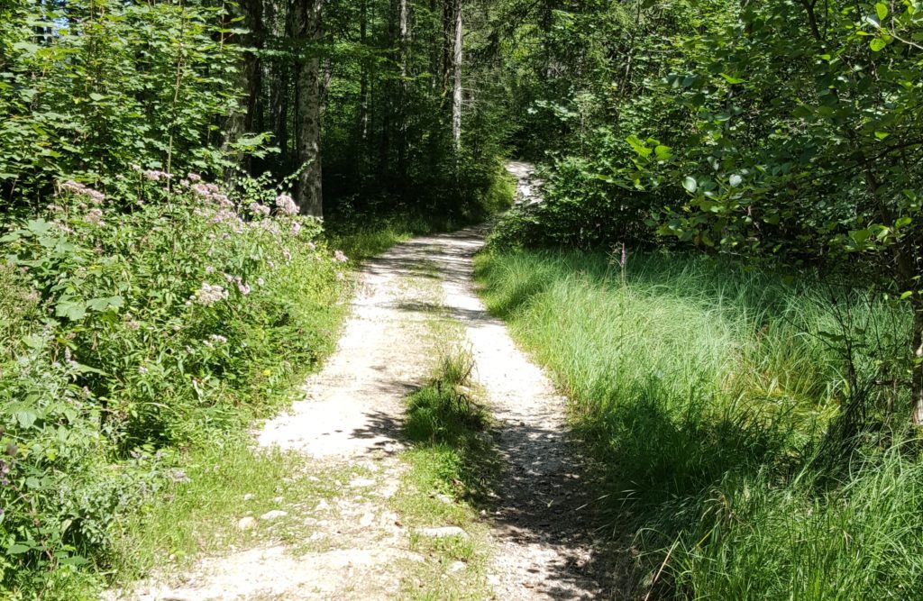 Das ist der Restart vom deutschsprachigen Blog und der Anfang vom neuen Schuljahr. Das Jahr selbst ist hier Thema, aber es gibt noch viele andere Themen in diesem Jahr. Schulbezogen und darüber hinaus.