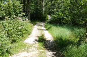 Das ist der Restart vom deutschsprachigen Blog und der Anfang vom neuen Schuljahr. Das Jahr selbst ist hier Thema, aber es gibt noch viele andere Themen in diesem Jahr. Schulbezogen und darüber hinaus.