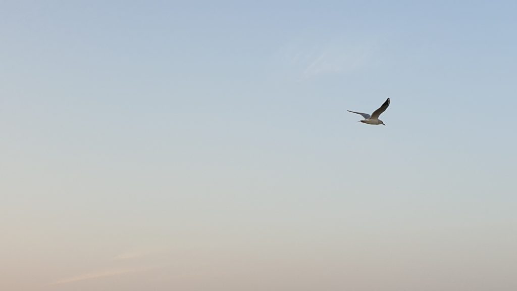 Training for social entrepreneurs