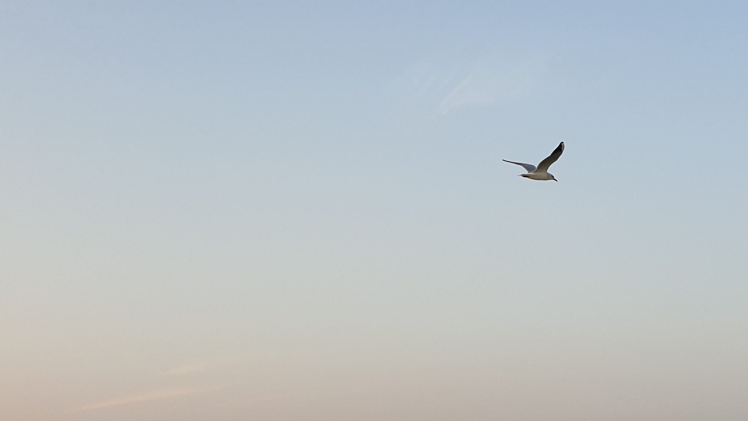 Training for social entrepreneurs