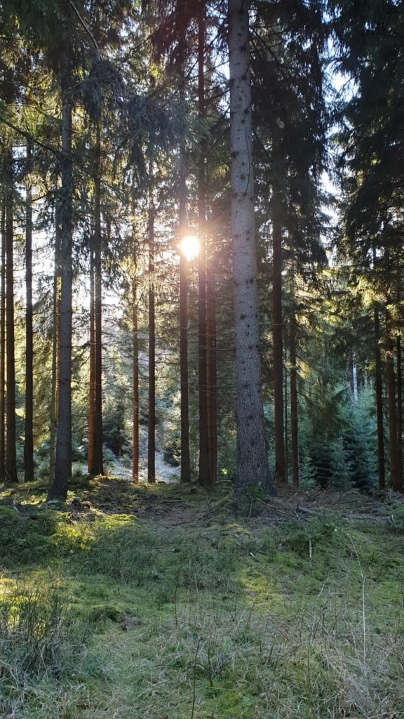 Coaching ist ein transformativer Prozess, der Energien freilegen kann