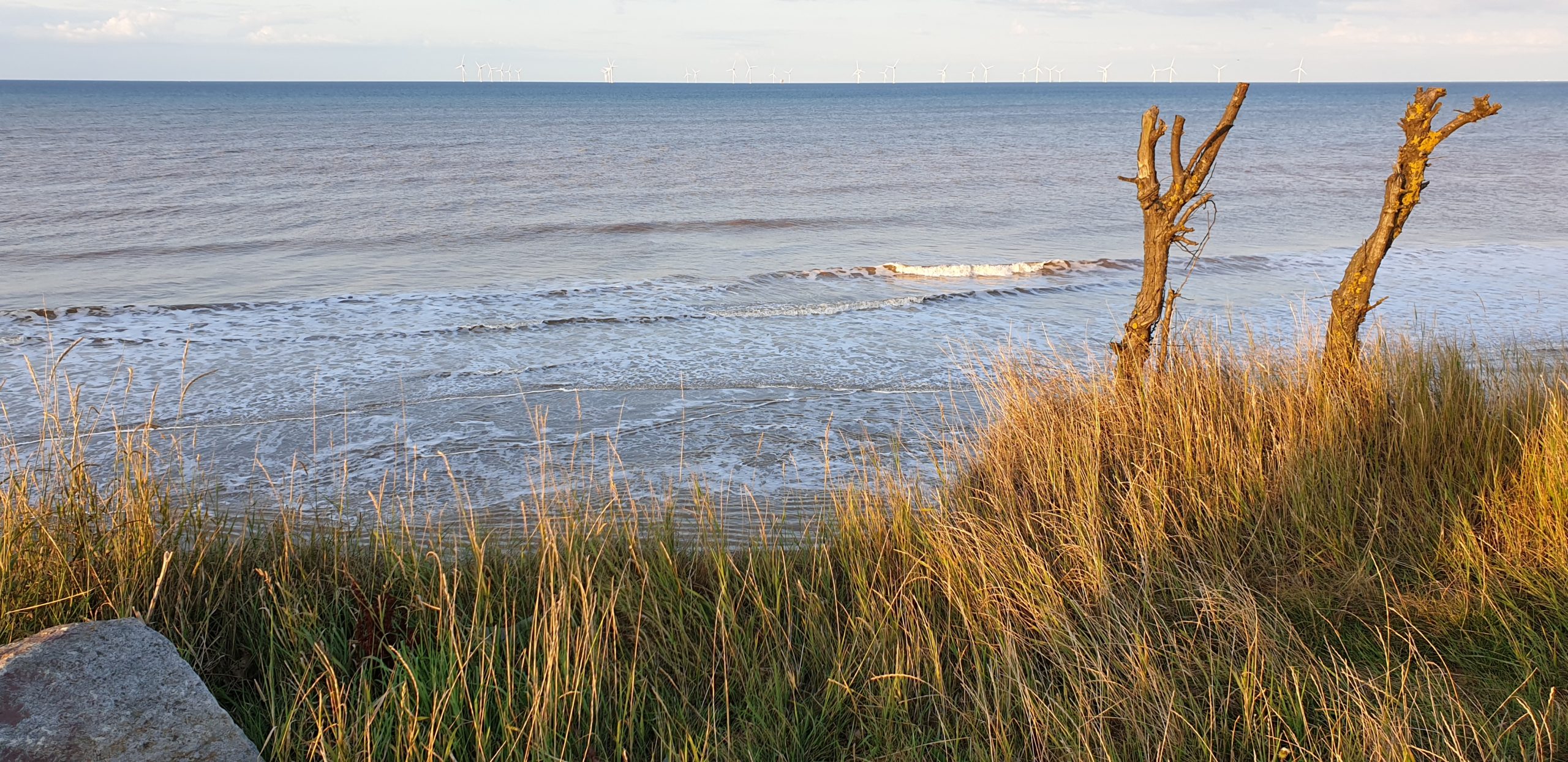 About us about our approach