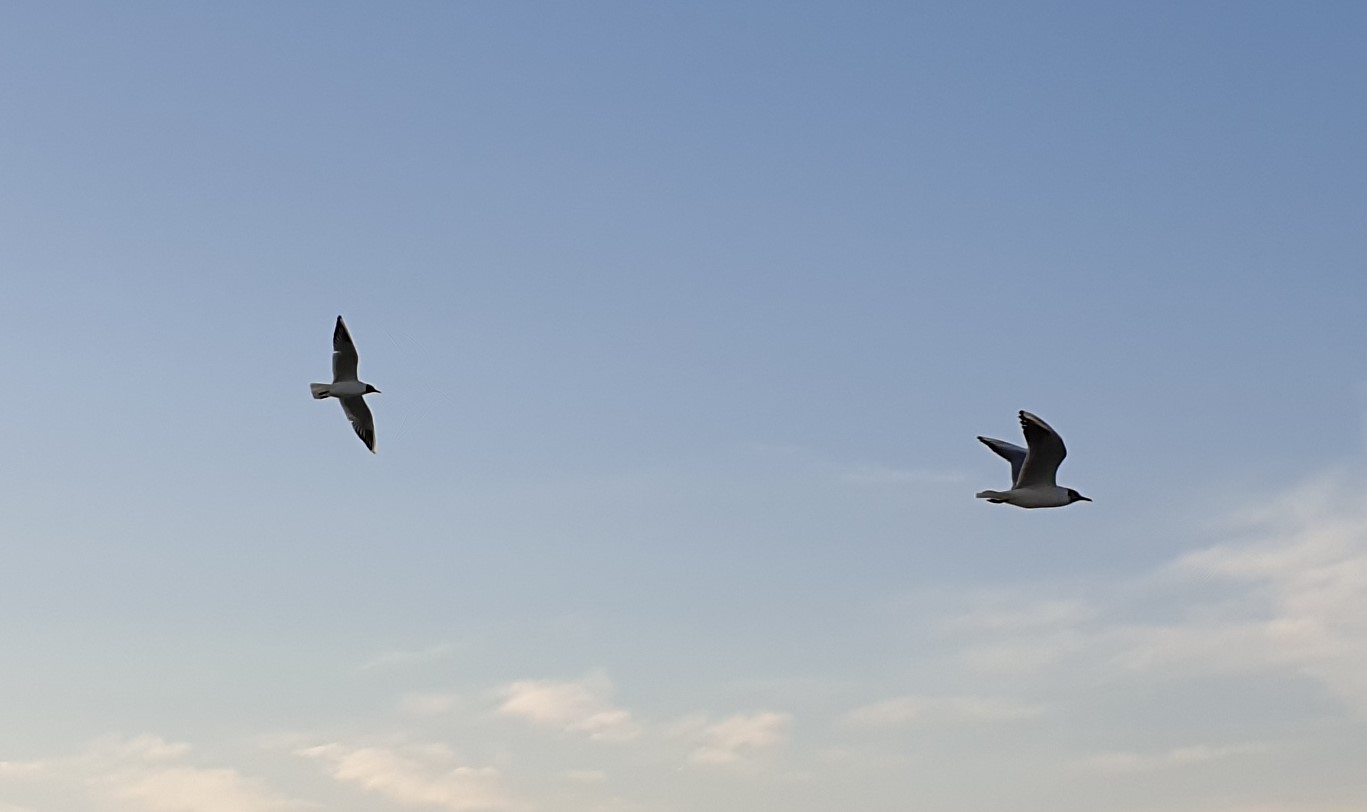 Welcome to Guide and Lead where you first lead yourself before guiding others