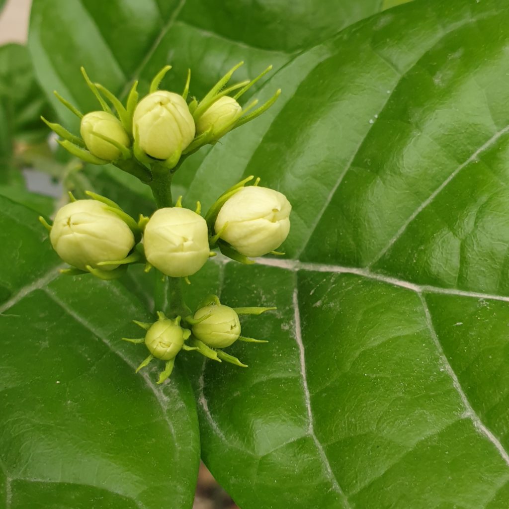 Connect and succeed with Guide and Lead