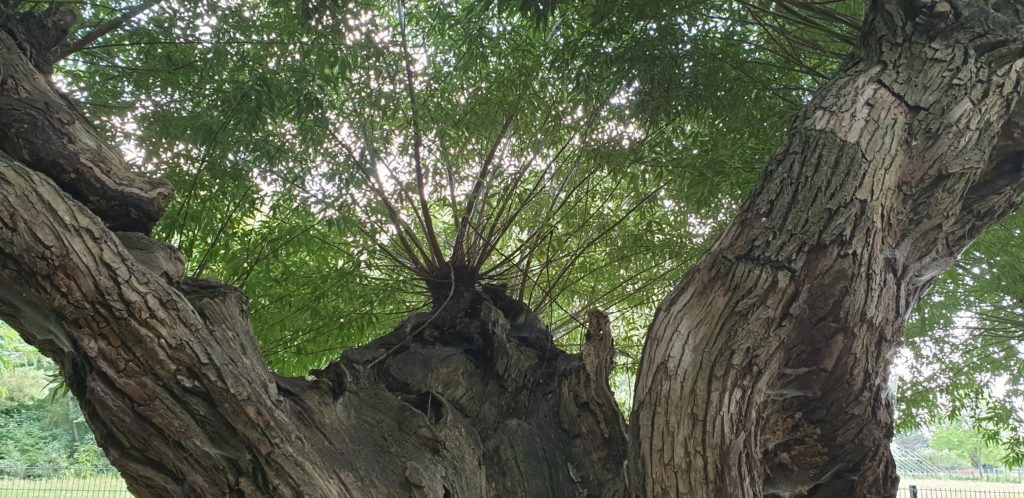 We offer systemic and holistic approaches in our consulting at Guide and Lead