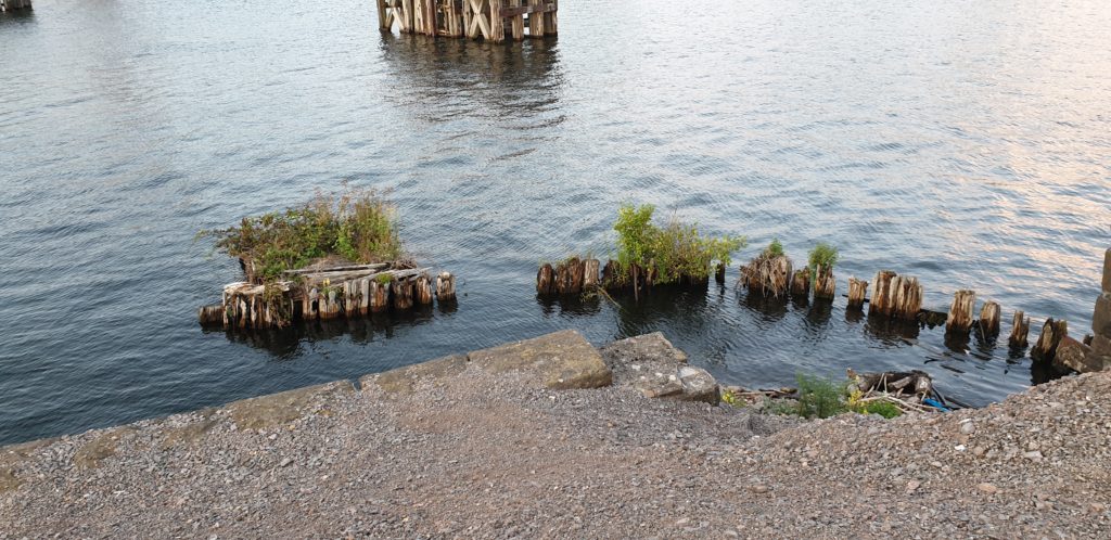 Begeisterung für die Lernenden und für Bildung ansich treibt uns an in der Beratung von Bildungsinstitutionen