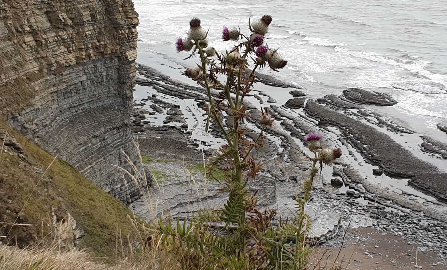 “A leader is useless when he acts against the promptings of his own conscience.” Mahatma Gandhi learning self-leadership at Guide and Lead