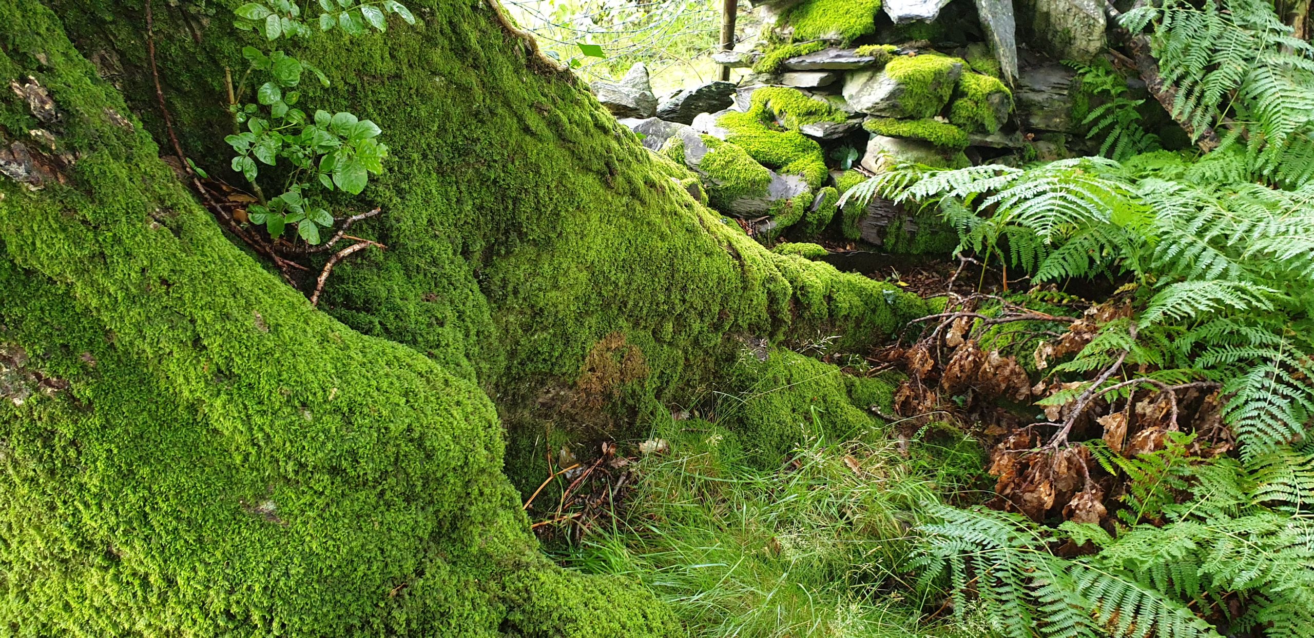 Über uns und über unseren Ansatz und unsere Arbeit, wir sind das Team bei Guide and Lead