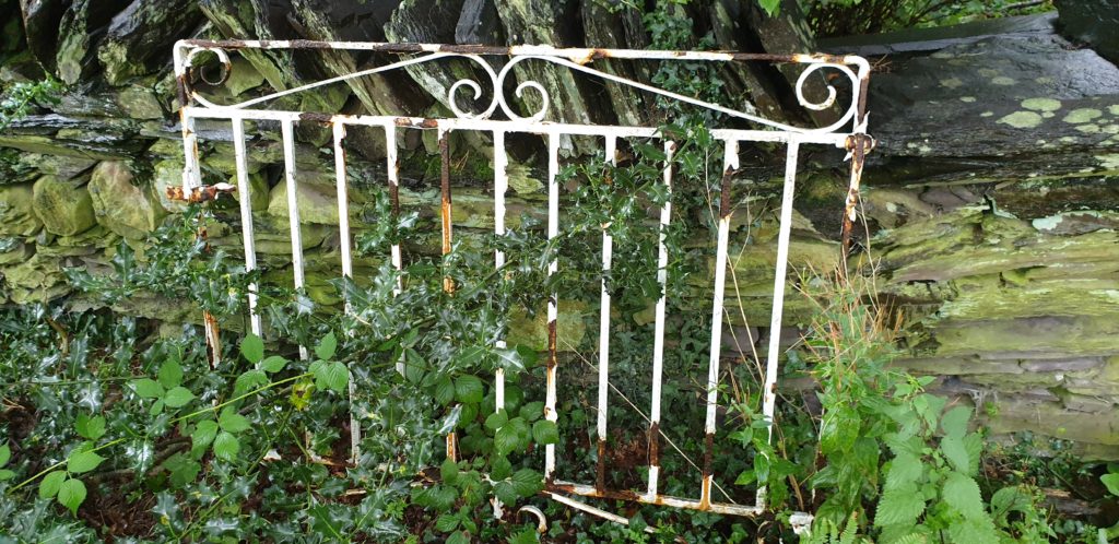 Training for schools and educational institutions, we support your organization with a complete set of trainings and qualifications