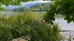 Das Alternativangebot, dass mit den großen Fragen der Zeit beginnt. Und den Jargon bewusst zur Seite lässt, um sich auf das Essenzielle zu besinnen.