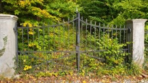 The transformation of any organisation depends greatly on the willingness of the individuals of the organisation to transform as well. Thus the gate to transformation opens to the inside.