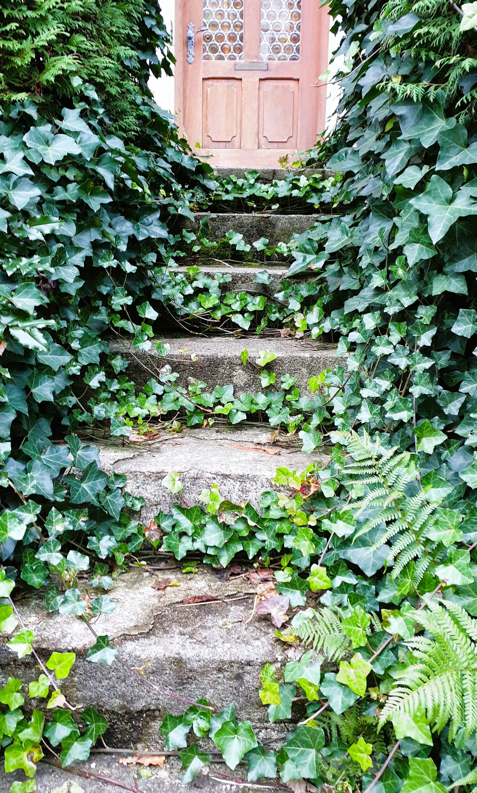 ForSis: eine von Efeu überwachsene Treppe, die zu einer Tür führt