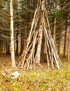 Der Beginn einer Baumstammhütte im Wald. New Work muss sich mit den inneren Dimensionen befassen, um wirklich neu zu sein. Es reicht nicht aus, Strukturen und Prozesse zu verändern.