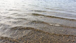 small waves on a lake shore, letting go