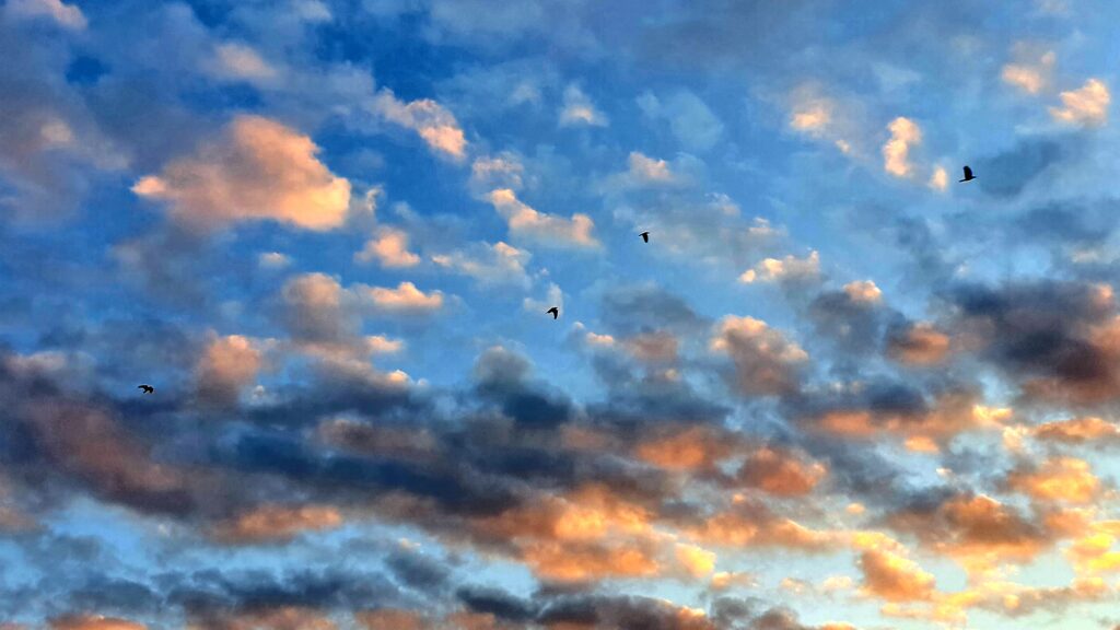 sunset coloured sky with two ravens flying across, a new beinning