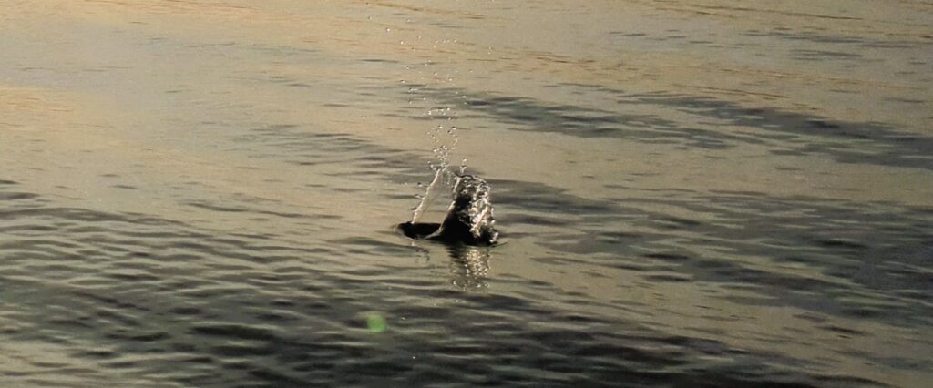 A stone thrown in still waters Are you still leading or are you already manipulating?