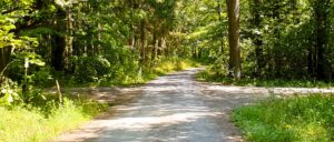 a forest crossroad, great metaphor for a crossroad in life that invites to sit down and reflect before going on